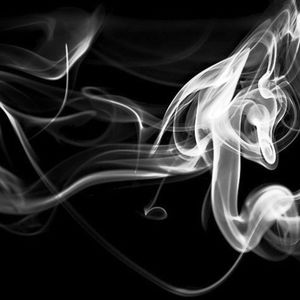 Meet your Posher, Dave